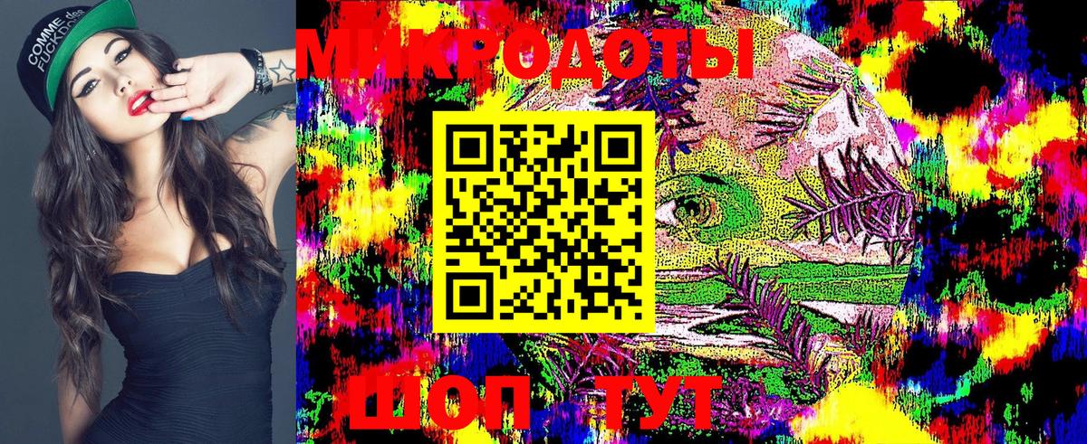 Псилоцибиновые грибы Psilocybe Новоуральск