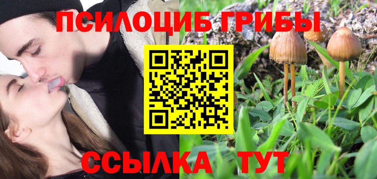 где найти   Галлюциногенные грибы MAGIC MUSHROOMS  Вход с VPN  Новоуральск 