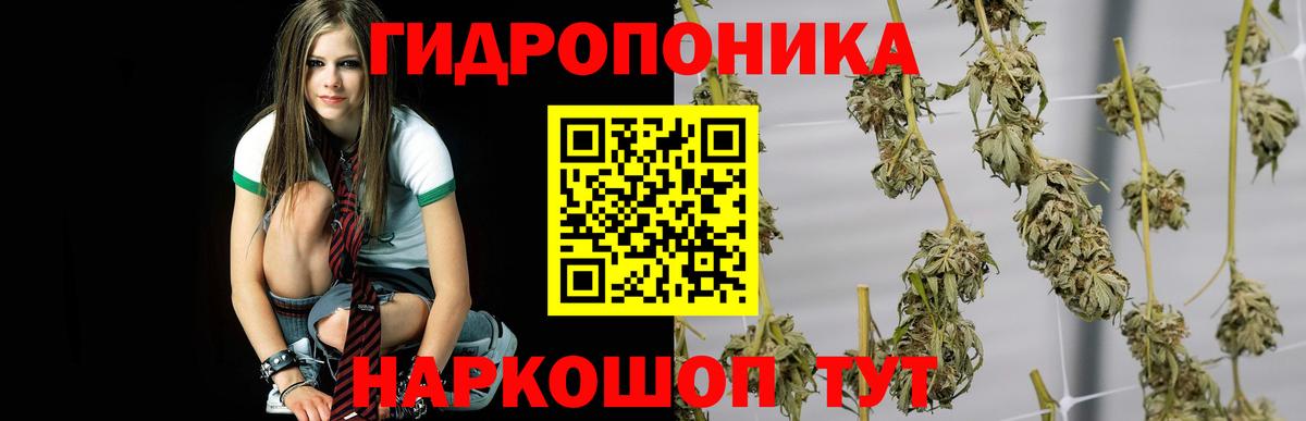 Шишки марихуана THC 21% Новоуральск